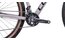 Cube Access WS Race - 29 Zoll - Diamant - Aktion