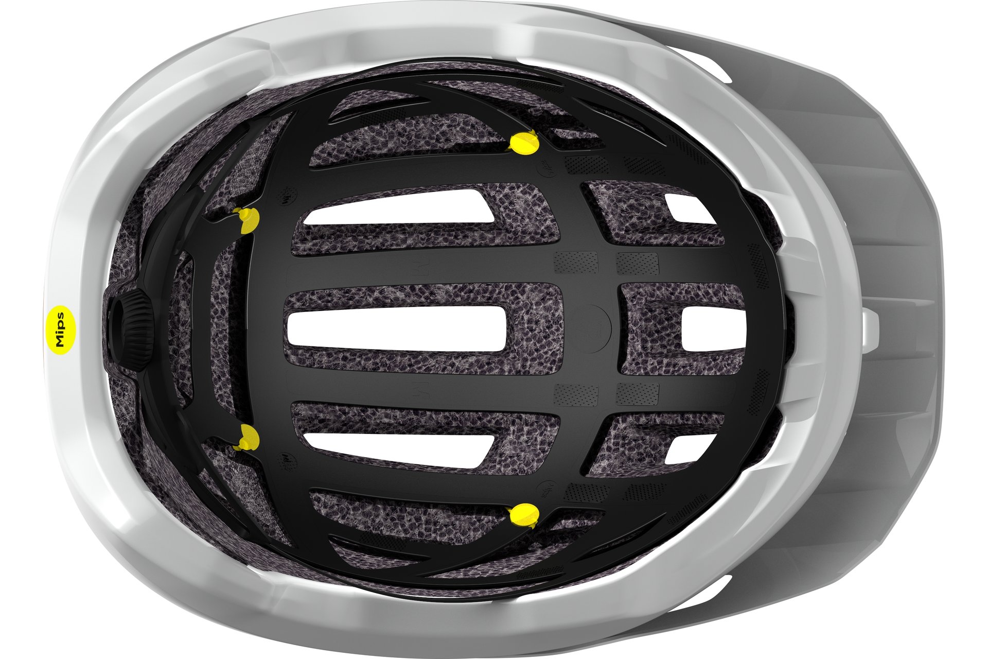 Scott Tago Plus MIPS