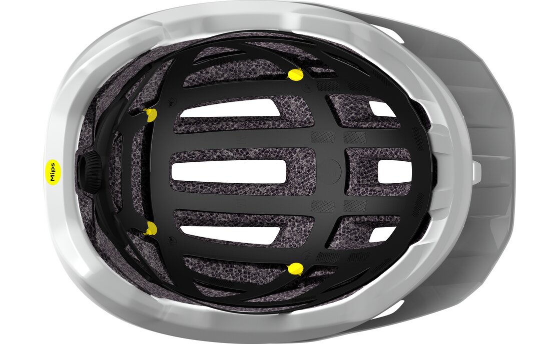 Scott Tago Plus MIPS