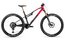 Rotwild R.X275 Ultra - 250 Wh - 29 Zoll - Fully