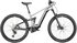 raw alloy (shiny)