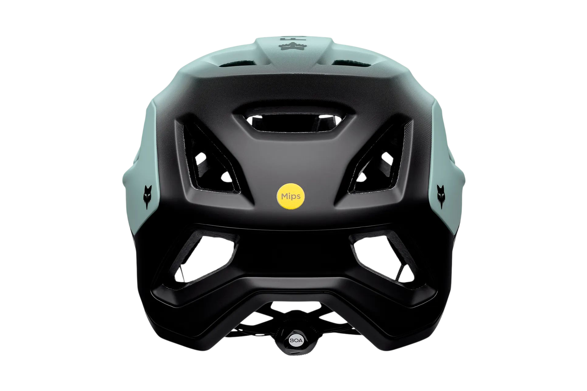 Fox Speedframe Pro Backfade