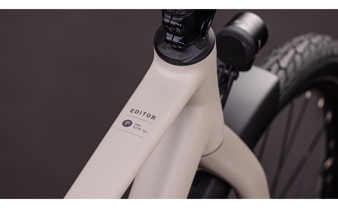 Cube Editor Pro FE - 29 Zoll - Diamant - 2026