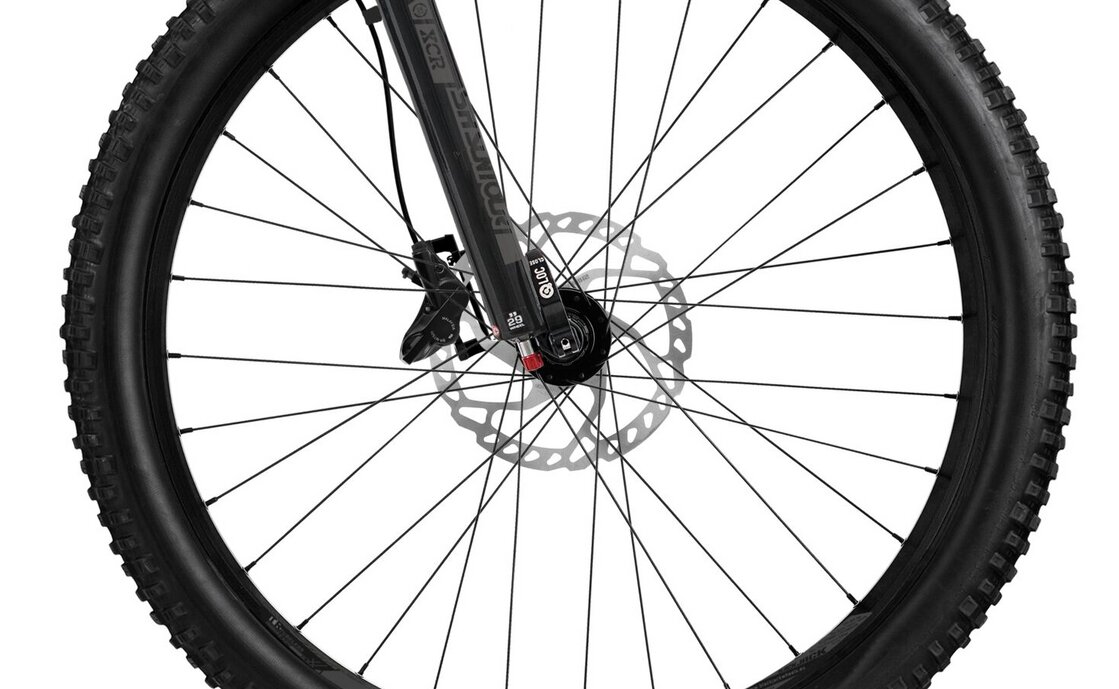 Flyer Uproc2 2.10 - 750 Wh - 29 Zoll - Diamant