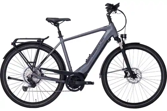 E-Bike Trekking - Hercules Pasero Pro I-12 - 750 Wh - 28 Zoll - Diamant