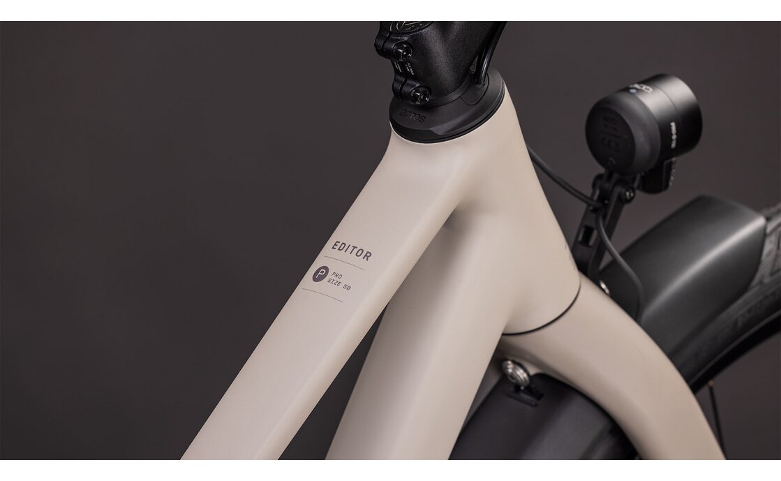 Cube Editor Pro FE - 29 Zoll - Trapez - 2026