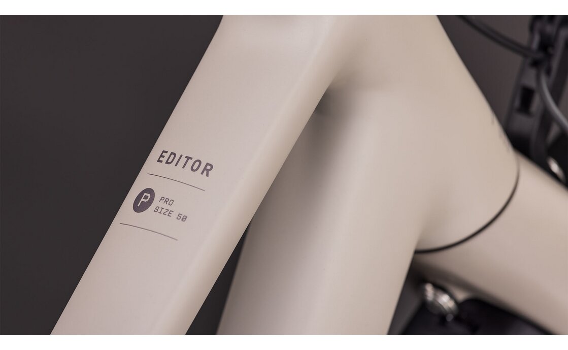 Cube Editor Pro FE - 29 Zoll - Trapez - 2026