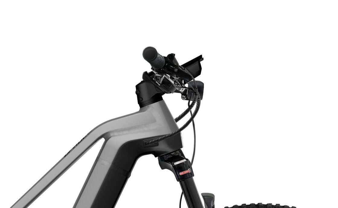 Flyer Uproc2 2.10 - 750 Wh - 29 Zoll - Diamant - Aktion