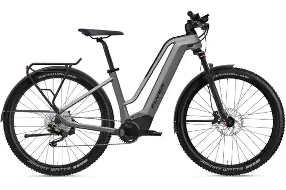 E-Bike Trekking - Flyer G2 Goroc2 2.10 - 750 Wh - 29 Zoll - Tiefeinsteiger