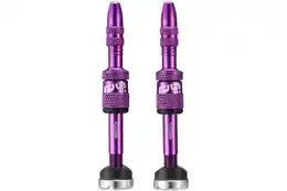 ETHIRTEEN Quick Fill Tubeless Presta Ventile 19-23mm - 2 Stück
