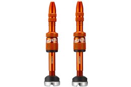 ETHIRTEEN Quick Fill Tubeless Presta Ventile 19-23mm - 2 Stück