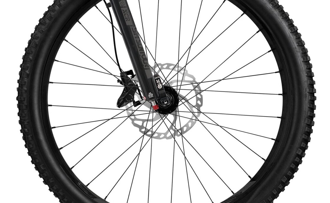 Flyer Uproc2 2.10 - 750 Wh - 29 Zoll - Damen Sport