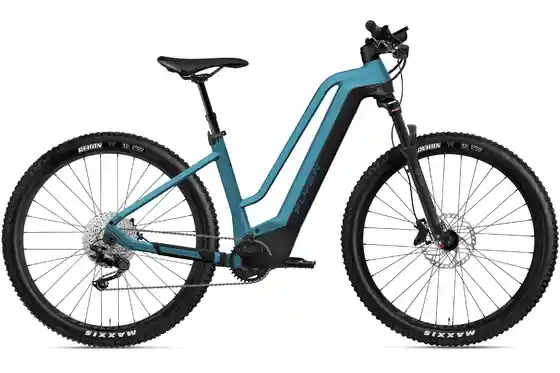 E-Bike Trekking - Flyer Uproc2 2.10 - 750 Wh - 29 Zoll - Trapez
