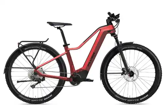 E-Bike Trekking - Flyer G2 Goroc2 6.30 - 750 Wh - 29 Zoll - Diamant