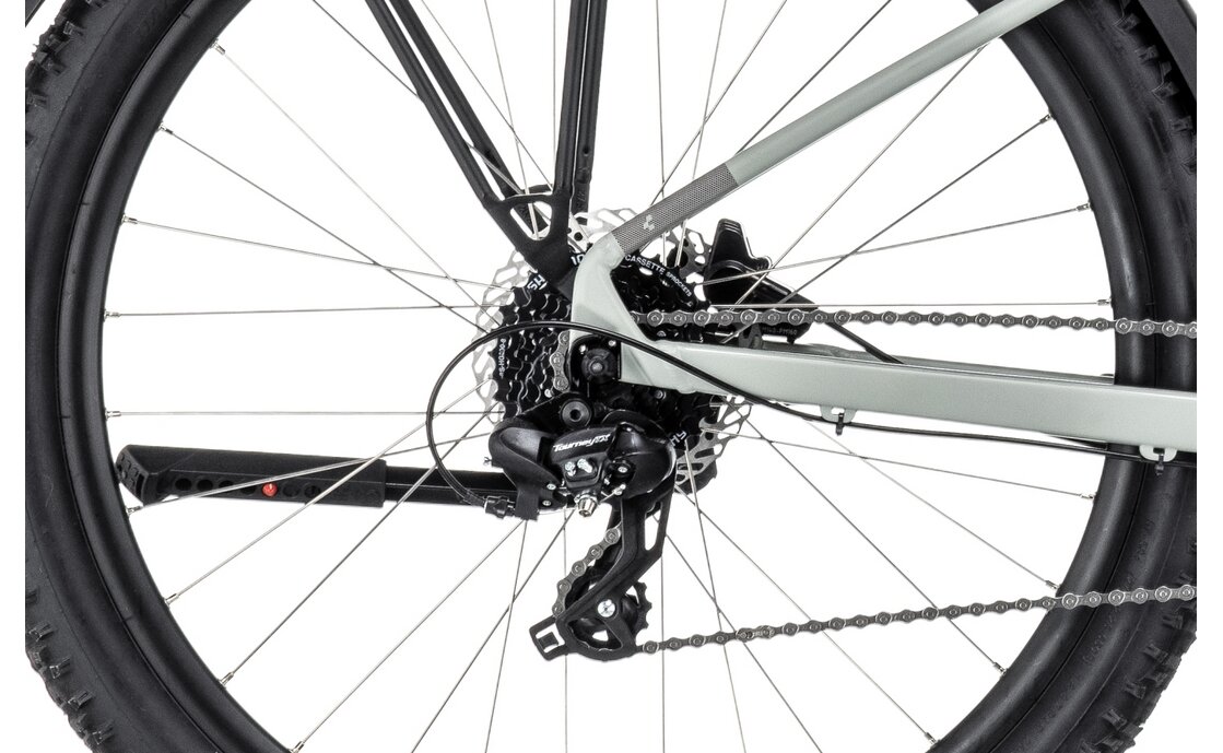 Cube Access WS Allroad - 29 Zoll - Diamant - 2023