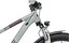 Cube Access WS Allroad - 29 Zoll - Diamant - 2023