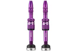 ETHIRTEEN Quick Fill Tubeless Presta Ventile 23-30mm - 2 St&uuml;ck