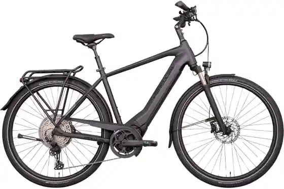 E-Bike Trekking - Hercules Pasero Comp I-12 - 750 Wh - 28 Zoll - Diamant