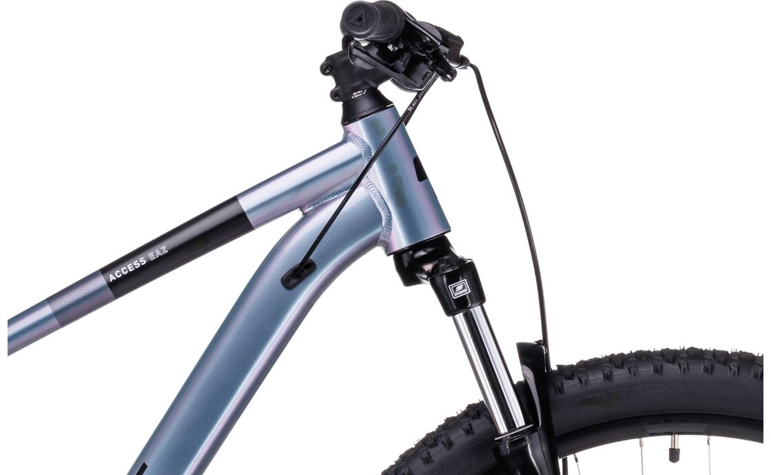 Cube Access WS EAZ - 29 Zoll - Diamant - 2023