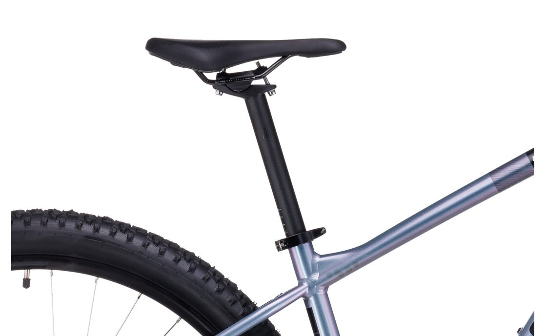 Cube Access WS EAZ - 29 Zoll - Diamant - 2023