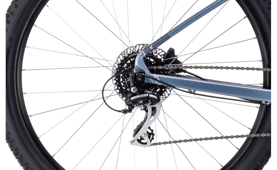 Cube Access WS EAZ - 29 Zoll - Diamant - 2023