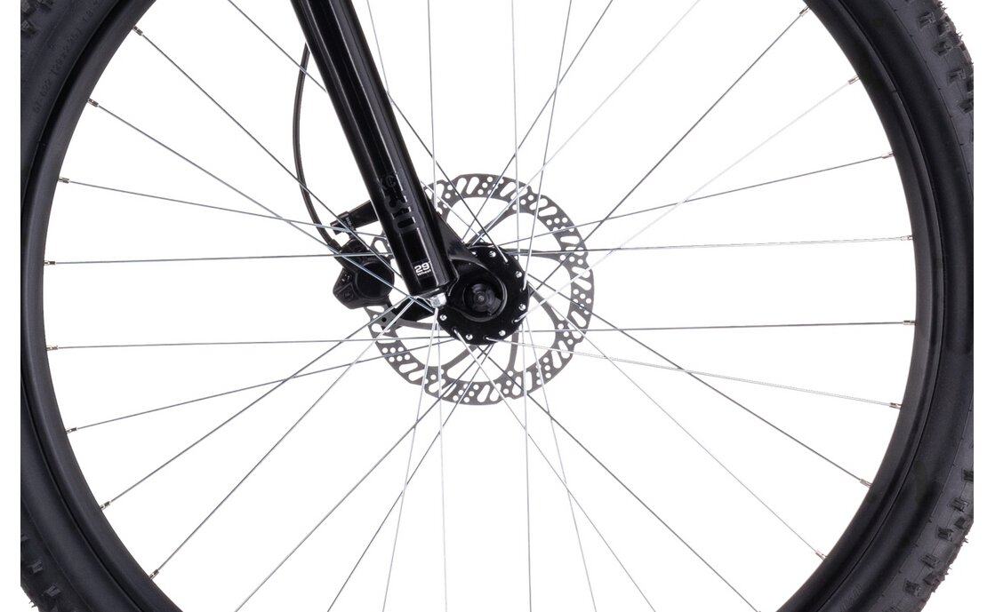 Cube Access WS EAZ - 29 Zoll - Diamant - 2023