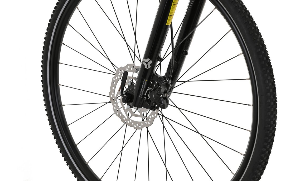 Carver Cinos 120 - 28 Zoll - Damen Sport - 2024