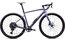 Specialized Diverge E5 Comp - 28 Zoll - Diamant - 2026