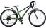 Winora Rage 24 - 24 Zoll - Diamant - 2024