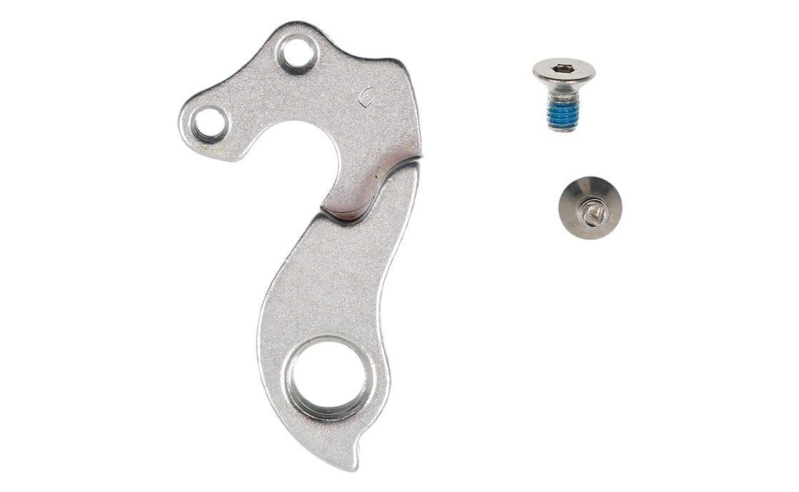 Carver Schaltauge Evolution Carbon