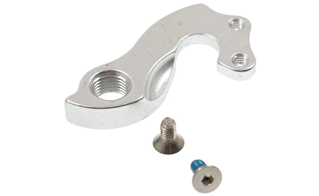 Carver Schaltauge Evolution Carbon