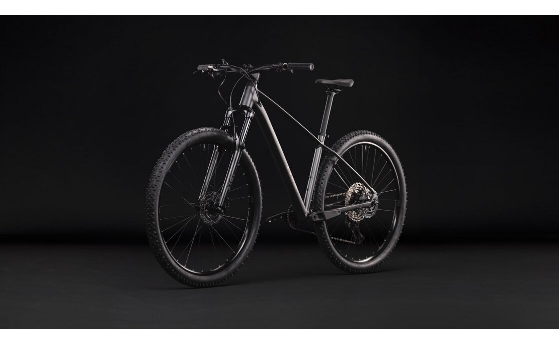 Cube Aim SLX - 29 Zoll - Diamant - 2027