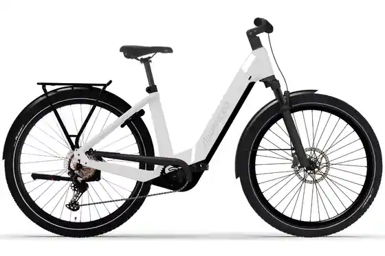 E-Bike Trekking - Advanced Reco One Wave - Deore - 625 Wh - 29 Zoll - Tiefeinsteiger