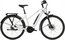 Carver Tour E.410 - B-Ware - 400 Wh - 28 Zoll - Trapez