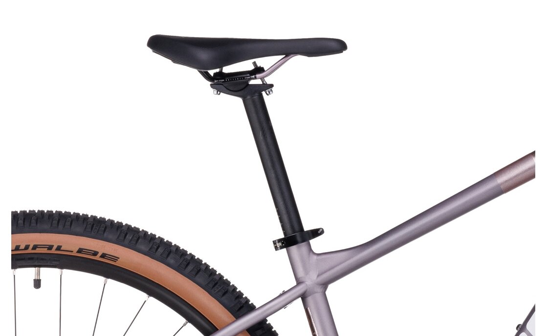 Cube Access WS Pro - 29 Zoll - Diamant - 2023