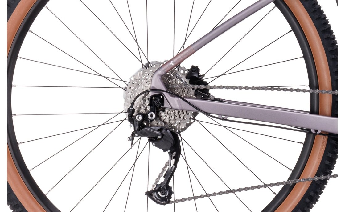 Cube Access WS Pro - 29 Zoll - Diamant - 2023