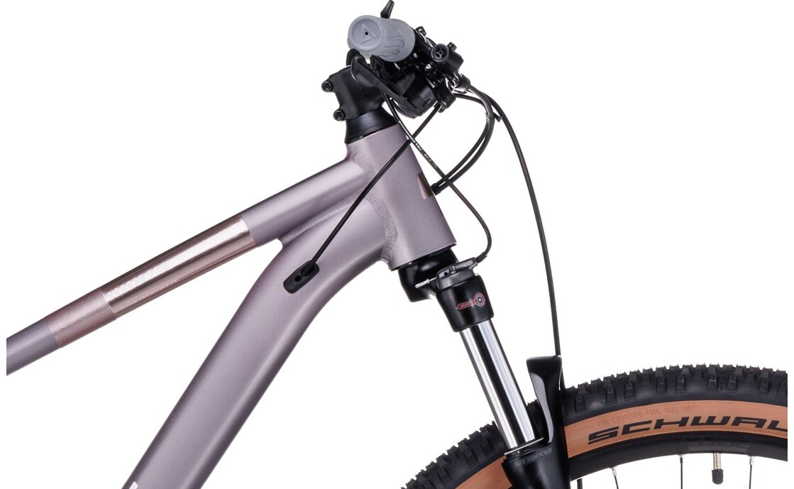 Cube Access WS Pro - 29 Zoll - Diamant - 2023