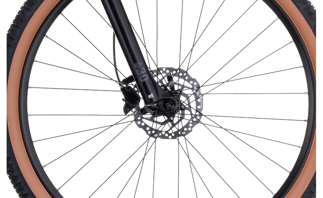 Cube Access WS Pro - 29 Zoll - Diamant - 2023