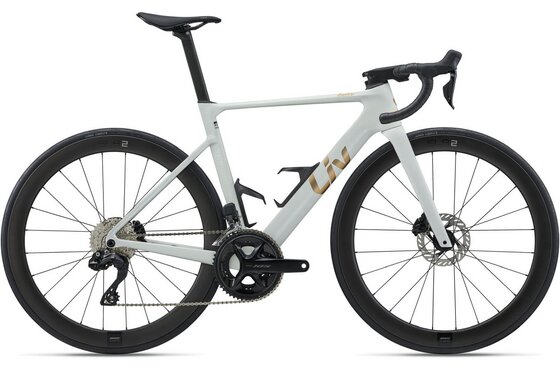 24 - Gänge - Fahrräder - EnviLiv Advanced 1 - 28 Zoll - Diamant - 2027