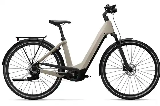 E-Bike Trekking - Advanced Reco One Wave - Deore - 625 Wh - 29 Zoll - Tiefeinsteiger