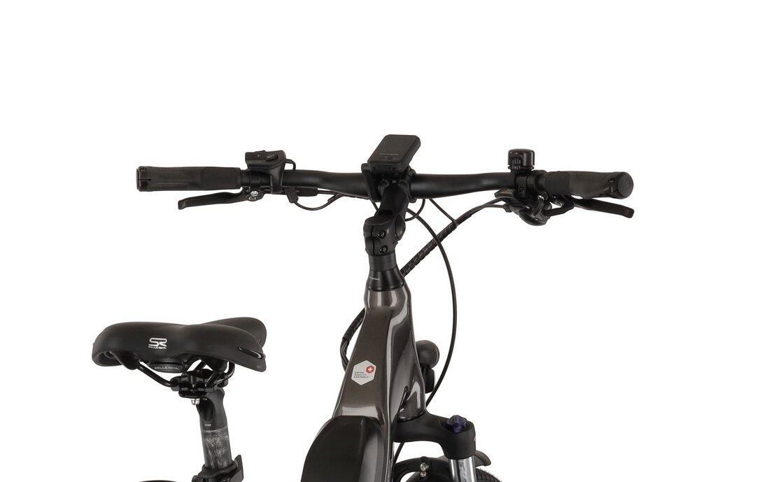 Flyer Upstreet5 5.10 Comfort - 630 Wh - 28 Zoll - Tiefeinsteiger