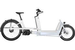 E-Lastendreirad - Bergamont E-Cargoville LJ Expert - 625 Wh - 26 Zoll - Longtail - Aktion