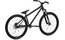 NS Bikes Metropolis 2 - 26 Zoll - Diamant