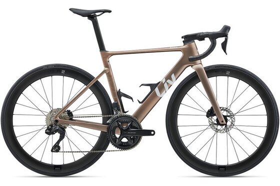 Carbon - Fahrräder - EnviLiv Advanced 1 - 28 Zoll - Diamant - 2027