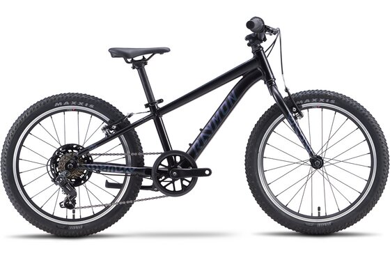 Kinderfahrräder - Raymon Yanga 20 Pure - 20 Zoll - Diamant - 2027
