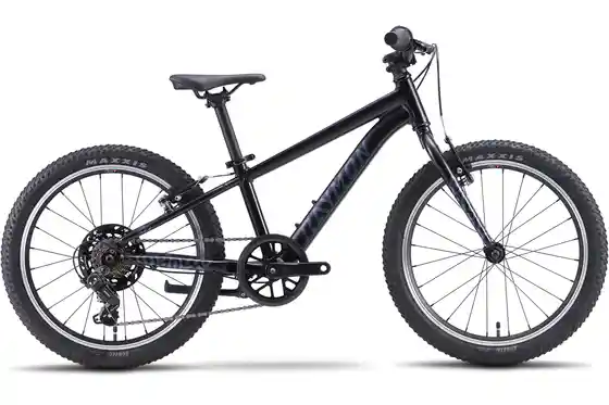 Schwarz - Kinder- & Jugendfahrräder - Raymon Yanga 20 Pure - 20 Zoll - Diamant - 2027