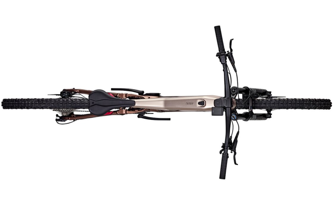 Focus Thron2 6.8 ABS - 800 Wh - 29 Zoll - Fully