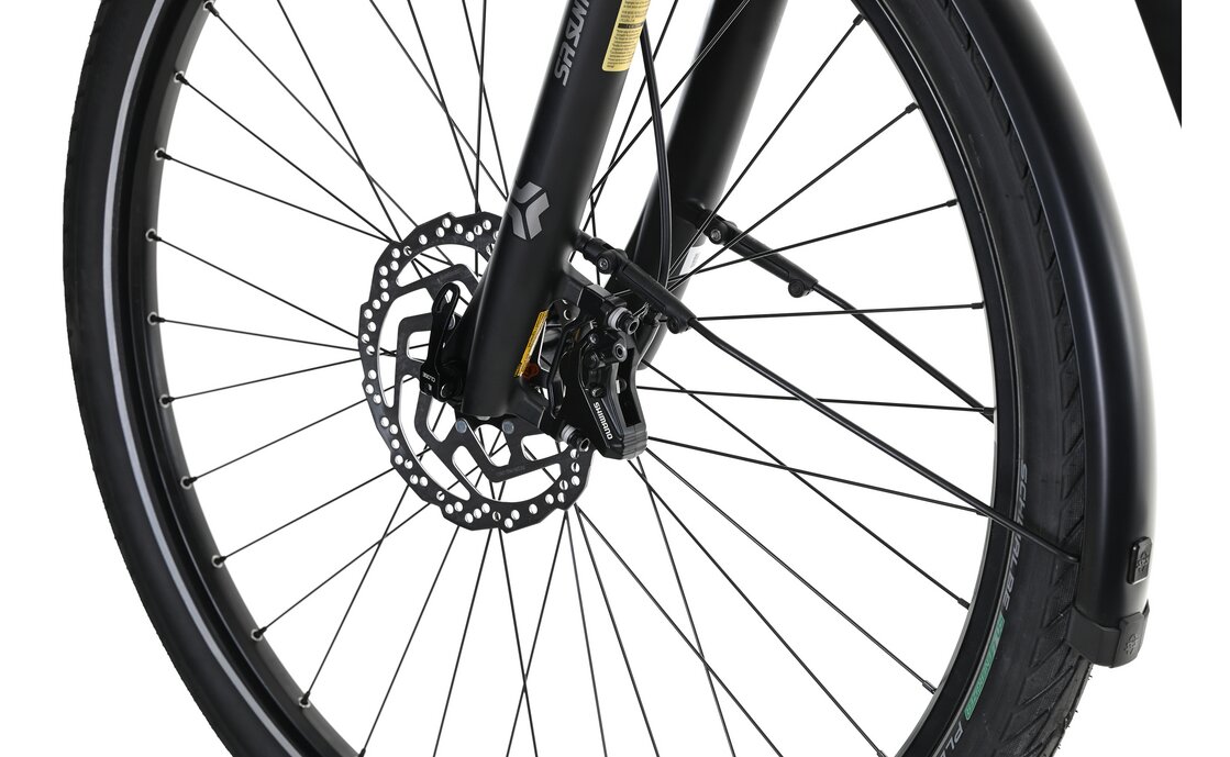 Carver Route E.540 - B-Ware - 625 Wh - 28 Zoll - Trapez