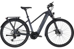 Carver Route E.540 - B-Ware - 625 Wh - 28 Zoll - Trapez