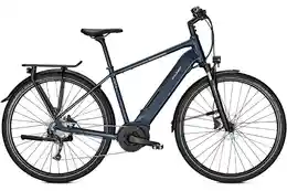 Raleigh Rushhour - Raleigh Kent 9 - 500 Wh - 28 Zoll - Diamant